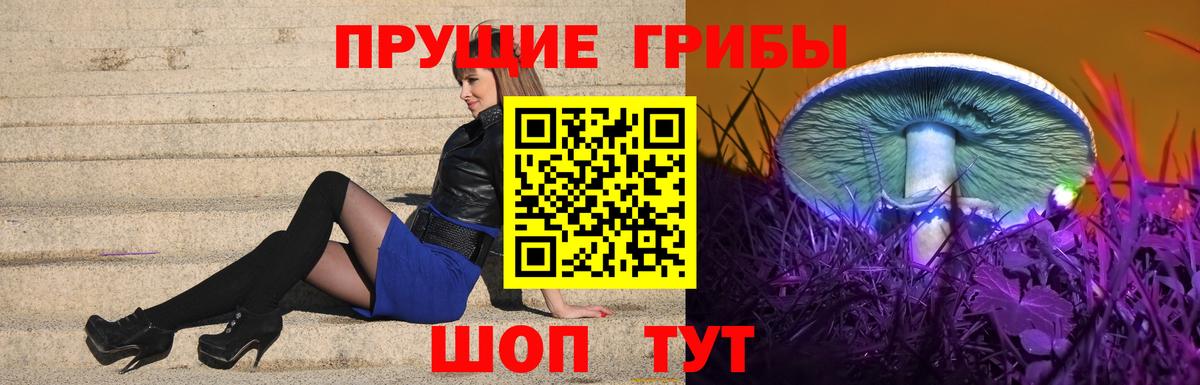 Псилоцибиновые грибы мухоморы Лыткарино