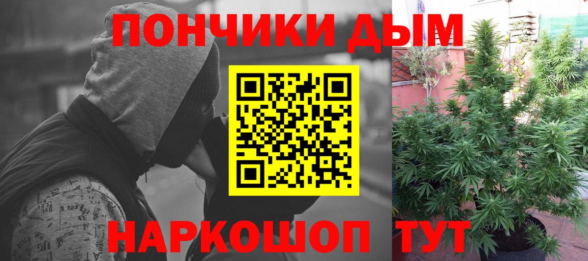 Бошки марихуана планчик  Канабис THC 21%  Бошки Шишки тримм  МАРИХУАНА план  Вход с VPN  Лыткарино 